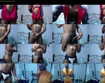 donato_dly