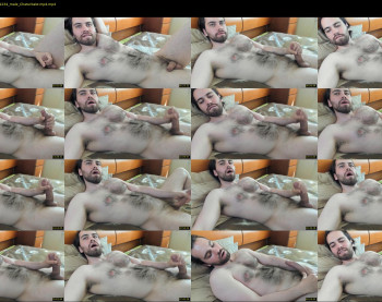hairy__bear_