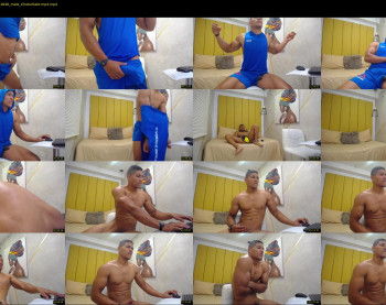 teddyfit19cm