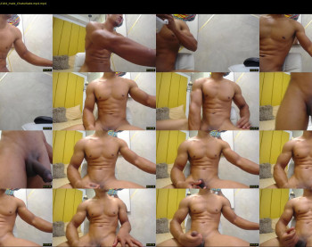 teddyfit19cm