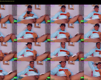 tomas_fox1