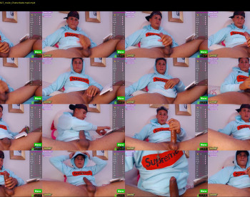 tomas_fox1