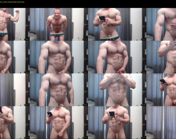 andry_dick