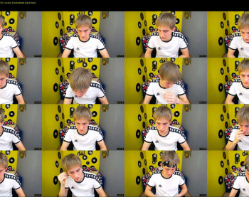 henry_swen