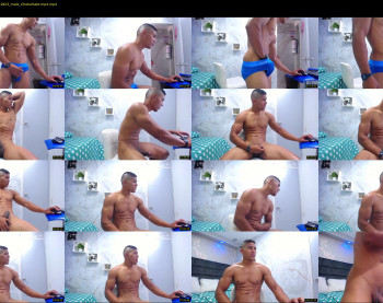 teddyfit19cm