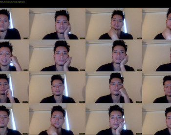 davidcruzb7