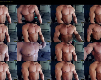 flex_x_x