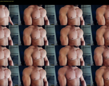 flex_x_x