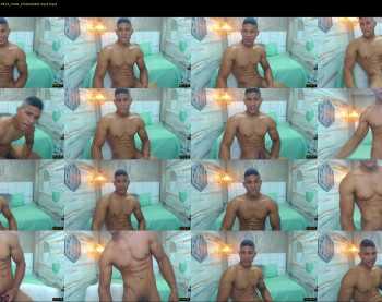 teddyfit19cm