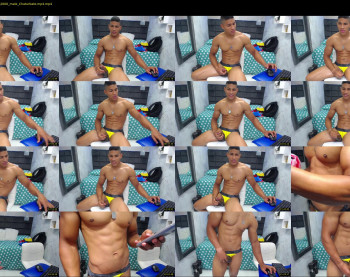 teddyfit19cm