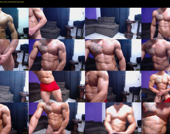 bestmuscle