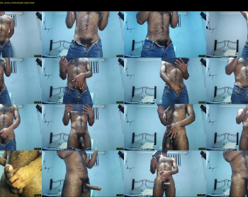 donato_dly