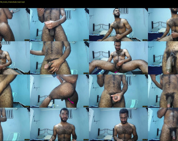 donato_dly
