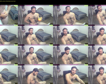 osito_blanco