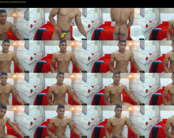 teddyfit19cm