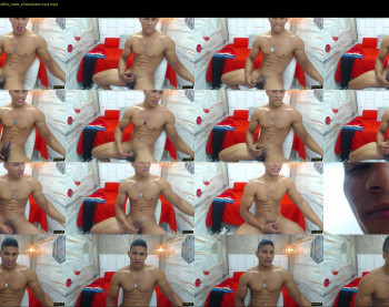 teddyfit19cm