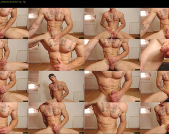 the_phoenixxx