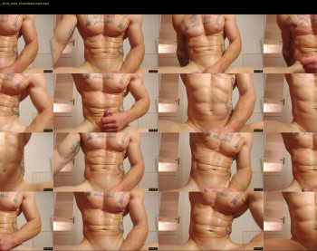 the_phoenixxx