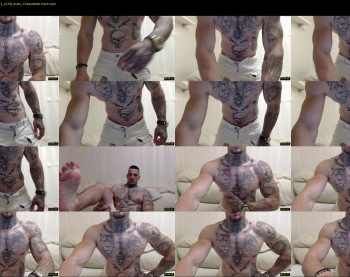 thebestmuscles