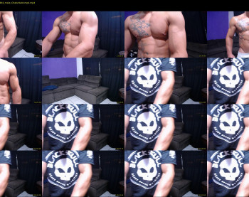 bestmuscle