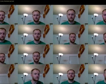 fox_1234