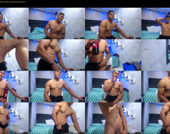 teddyfit19cm