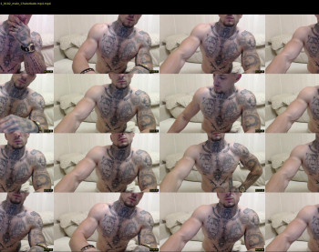 thebestmuscles