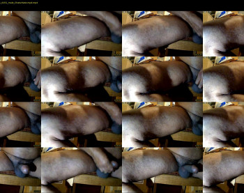 tomdickharry3
