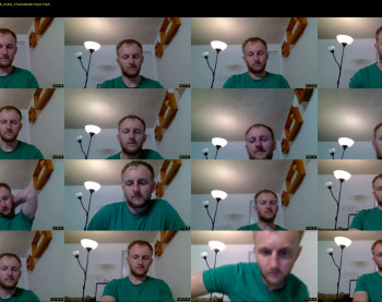 fox_1234