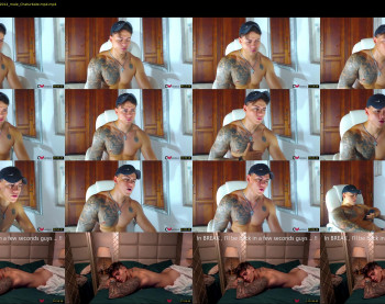 austin_grey2