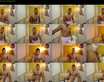 teddyfit19cm