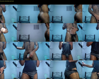 donato_dly
