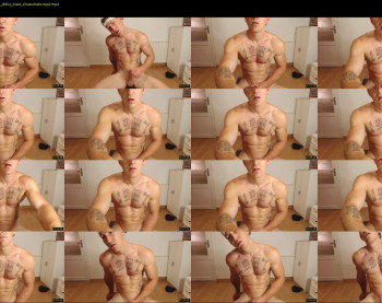 the_phoenixxx