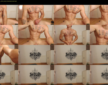 the_phoenixxx