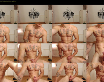 the_phoenixxx