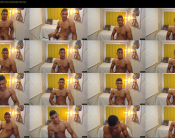 teddyfit19cm