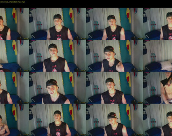 bruce_sealm