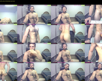 osito_blanco