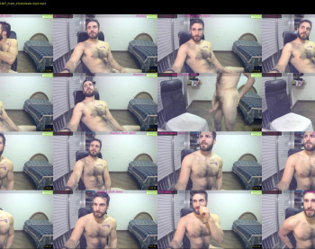 osito_blanco