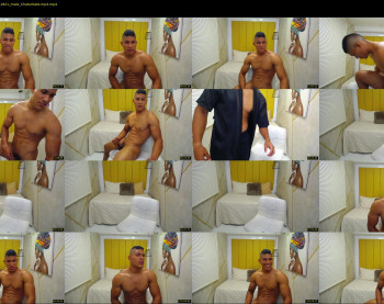 teddyfit19cm
