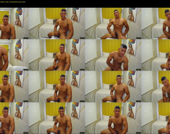 teddyfit19cm