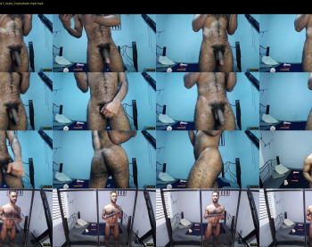 donato_dly