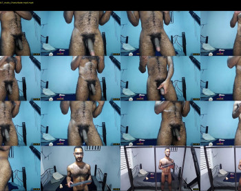 donato_dly