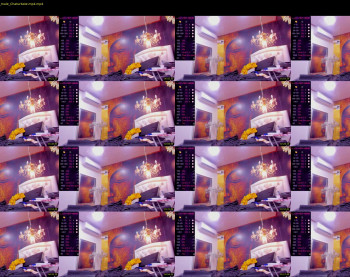 steboy_