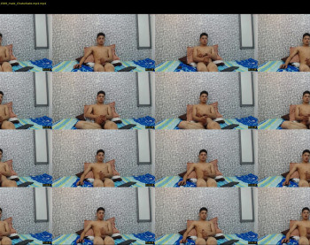 angel_hamer