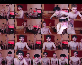 teddy_mode