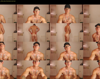 the_phoenixxx
