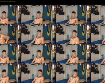 bruce_sealm
