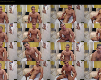 teddyfit19cm
