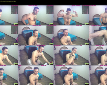 osito_blanco